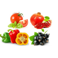 Муляж фрукты, ягоды, цветы, овощи