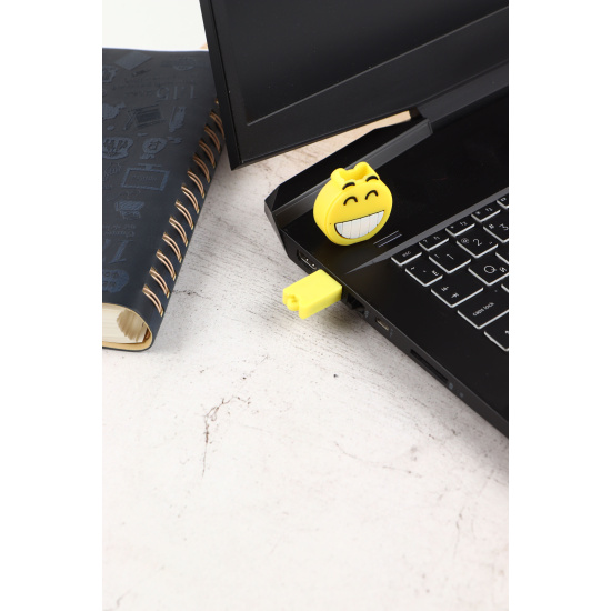 Флеш-память USB 16 Gb 190573/1 КОКОС Smile 2