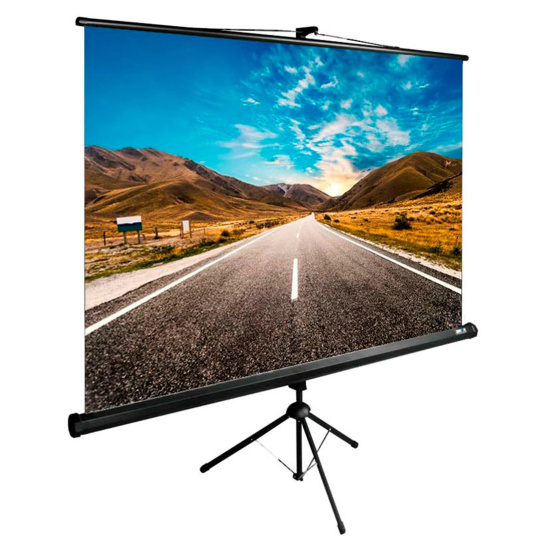 Экран на штативе Cactus TriExpert 160x160, черный корпус