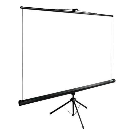 Экран на штативе Cactus TriExpert 160x160, черный корпус