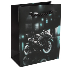Пакет подарочный, Moto, 11*14*6 см, картон, ручка шнурок, КОКОС, 253697