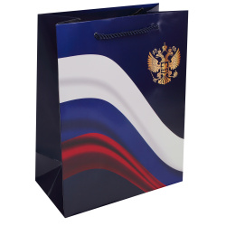 Пакет подарочный, Россия, 18*23*10 см, картон, ручка шнурок, KLERK, 253681