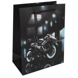 Пакет подарочный, Moto, 18*23*10 см, картон, ручка шнурок, КОКОС, 253698