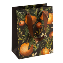 Пакет подарочный 18*23*10 BrunoVisconti Flora Paradise Oranges 2-851/15