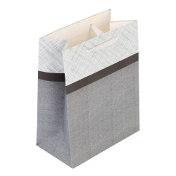 Пакет подарочный, Two color, 18*23*10 см, картон, ручка лента, КОКОС, 213581