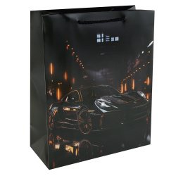 Пакет подарочный, Black gold, 26*32*12 см, картон, ручка шнурок, КОКОС, 242546