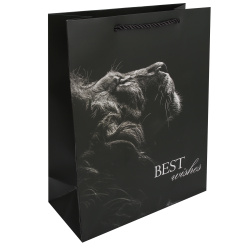 Пакет подарочный, Black Lion, 26*32*12 см, картон, ручка шнурок, FIORENZO, 253673