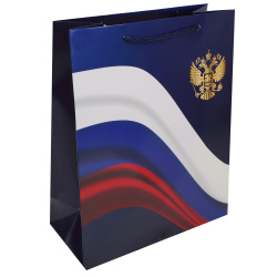 Пакет подарочный, Россия, 26*32*12 см, картон, ручка шнурок, KLERK, 253682