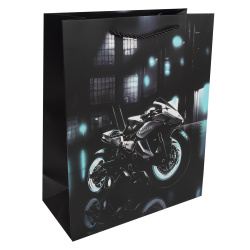 Пакет подарочный, Moto, 26*32*12 см, картон, ручка шнурок, КОКОС, 253699
