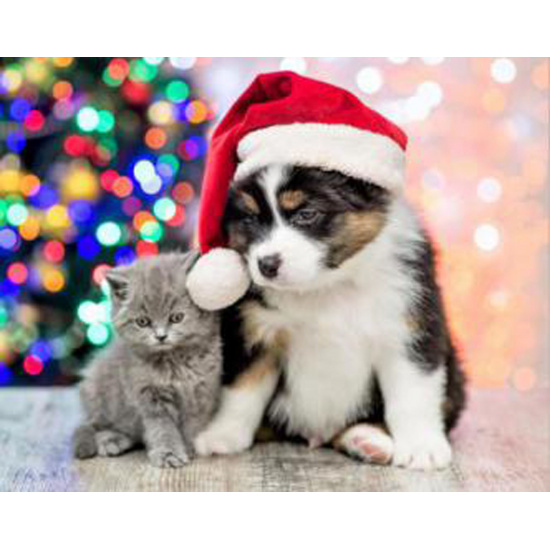 Мозаика алмазная 30*40см Рыжий кот Новогодний щенок и котенок полная выкладка холст без подрамника WFC211