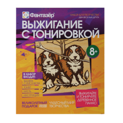 Набор для выжигания с тонировкой Два веселых друга 367008
