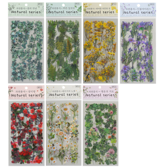 Наклейки 6 листов, 10*18 см, ПЭТ-пленка, европодвес, Natural series, КОКОС, 253599