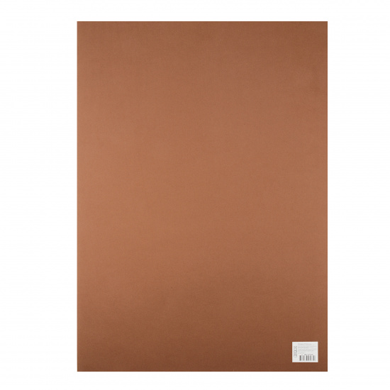 Фоамиран 50*70 см, 1,0 мм, 1 лист, коричневый КОКОС 183713-Y126