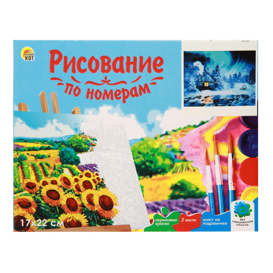 Картина по номерам 17*22 см, холст, на подрамнике Северное сияние Рыжий кот ХК-6380