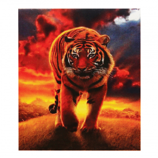 Картина по номерам 20*30 см, холст, на подрамнике Тигр на закате КОКОС 214999