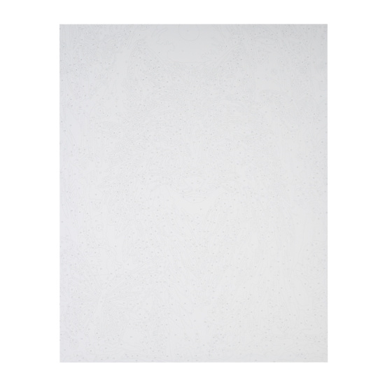 Картина по номерам, 40*50 см, холст, на подрамнике, Хранитель леса, Lori, Рх-185