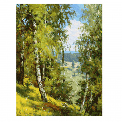 Картина по номерам 40*50 см, холст, на подрамнике Прищепа Березы в лесу Molly KK0853