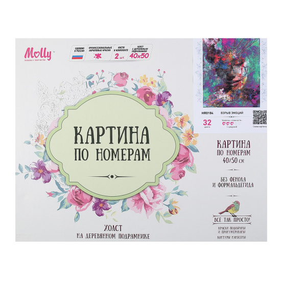 Картина по номерам 40*50 см, холст, на подрамнике Взрыв эмоций Molly HR0184