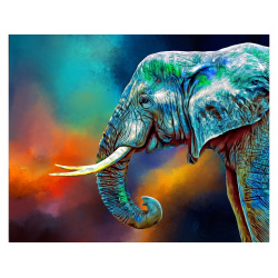 Картина по номерам 40*50 см, холст, на подрамнике Задумчивый слон Рыжий кот ХК-6879
