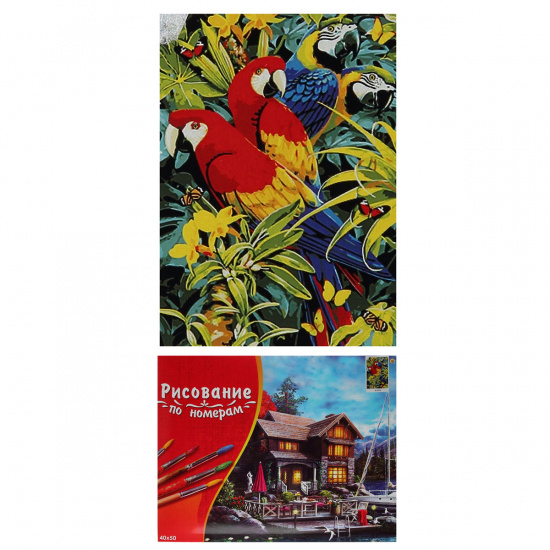 Картина по номерам 40*50 Рыжий кот Палитра Тропические попугаи холст на подрамнике Х-5274