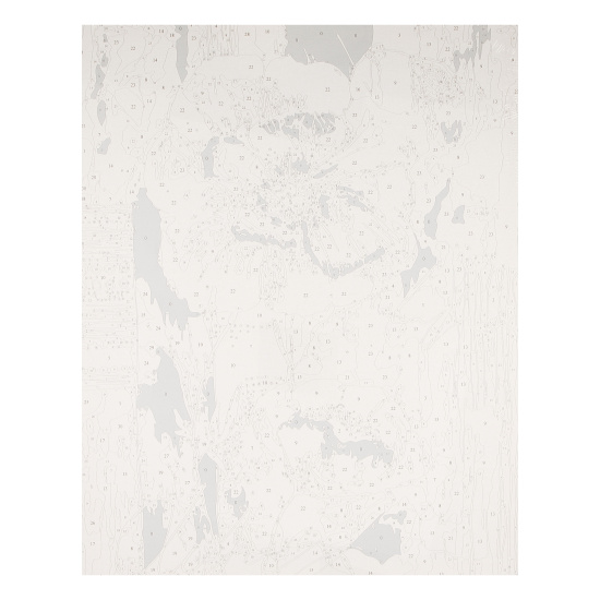 Картина по номерам с поталью 40*50 см, холст, на подрамнике Белые маки Рыжий кот Х-4235