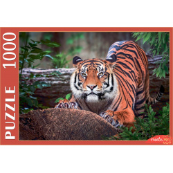 Пазлы 1000 элементов, 470*670 мм Суматранский тигр CreateMe Рыжий кот ШТП1000-4297