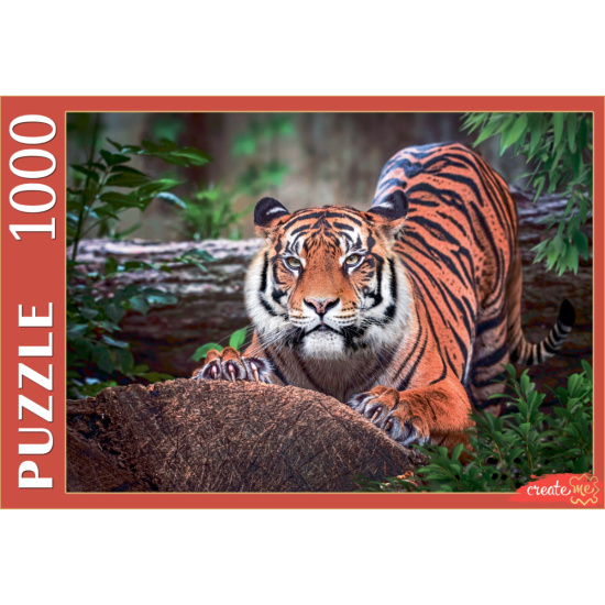 Пазлы 1000 элементов, 470*670 мм Суматранский тигр CreateMe Рыжий кот ШТП1000-4297