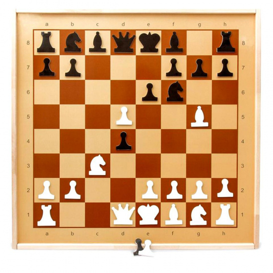 Игра настенная дерево, металл Шахматы магнитные демонстрационные Десятое Королевство 01756