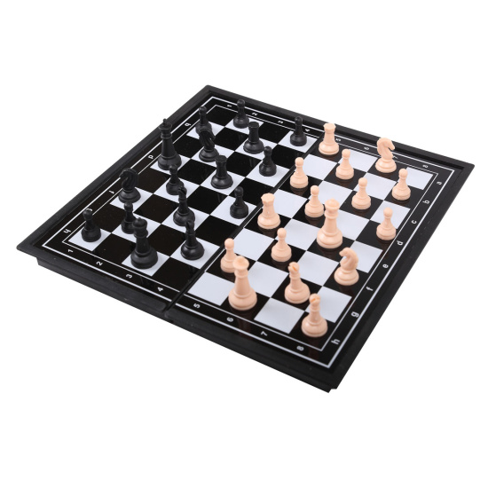 Игра настольная Шахматы магнитные 19*19см Рыжий кот поле пластиковое фигуры пластиковые P00081