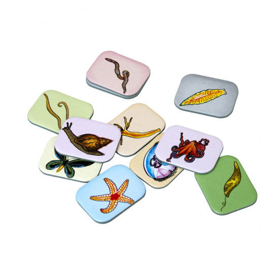 Игра настольная Викторина Твой кругозор Царство животных картон, пластик Step Puzzle 76404