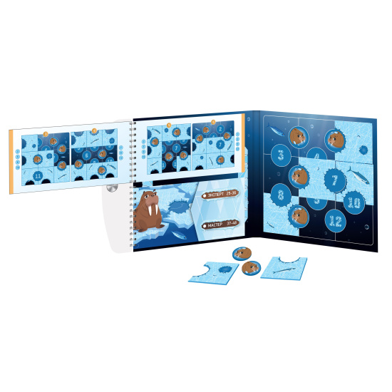 Игра-головоломка магнитная Десятое Королевство Ледоход Арктическое приключение 03528