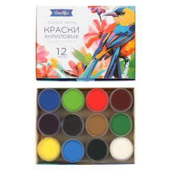 Краска акриловая художественная 12 цветов, 20 мл, картонная коробка Globus АХК12