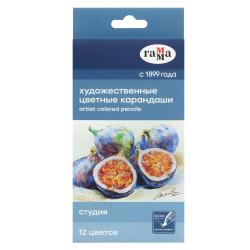 Набор карандашей художественных, Студия, 12 цветов, картонная коробка, европодвес, Гамма, 100822_12
