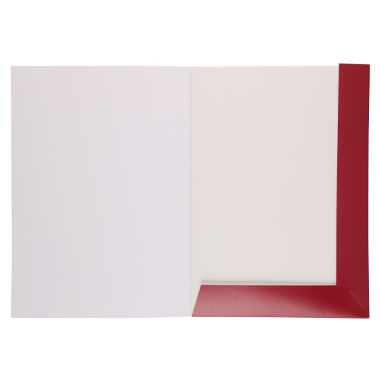 Папка для акварели Люкс А4, 16 листов, 200 г/кв.м, цвет белый Луч 32С 2079-08