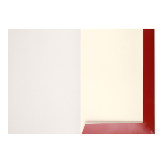Папка для акварели Люкс А3, 16 листов, 200 г/кв.м, цвет белый Луч 32С 2078-08
