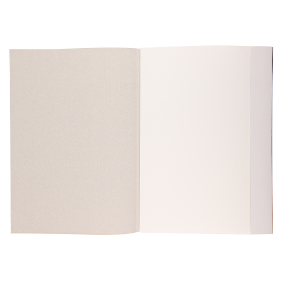 Папка для акварели Натюрморт А3, 20 листов, бумага для акварели Гознак, 200 г/кв.м, цвет белый КОКОС 232184