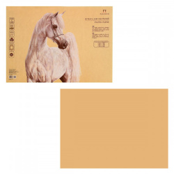 Бумага для пастели, В1 (700*1000 мм), 10 листов, офсет 100 г/кв.м, тиснение холст, без скрепления, цвет песочный "Sand", Лилия Холдинг, БPS/B1