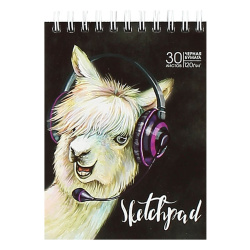 Блокнот для эскизов/скетчбук А6 (100*130) 30л 120г/м2 обл мягк карт дв спир Черн блок Альпака твин-лак выб лак 51492