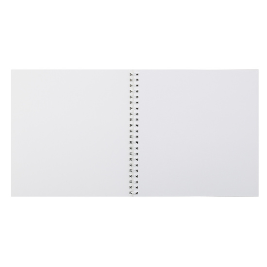 Блокнот для эскизов/скетчбук А5 (195*195 мм), 20 листов, 160 г/кв.м, на спирали Игривый кот Феникс 62833
