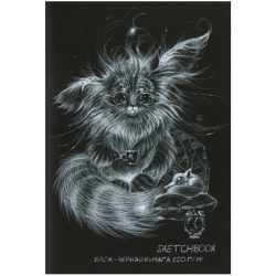 Блокнот для эскизов/скетчбук А5 (140*200) 20л 120г/м2 обл мягк карт скоба Черн блок Sketchbook 2824
