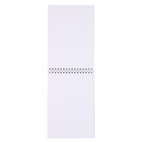 Блокнот для эскизов/скетчбук А5 (140*200 мм), 40 листов, 100 г/кв.м, на спирали Тайны аниме КОКОС 241412