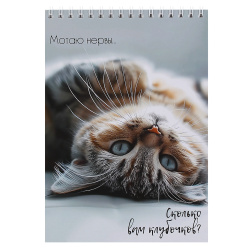 Блокнот для эскизов/скетчбук, А5, 140*200 мм, 30 листов, 180 г/кв.м, на спирали, Кошачья жизнь, КОКОС, 261805