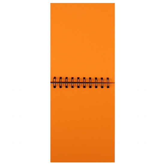 Блокнот для эскизов/скетчбук А5 (140*180 мм), 40 листов, 160 г/кв.м, на спирали Оранжевые мишки Лилия Холдинг БЛ-3470