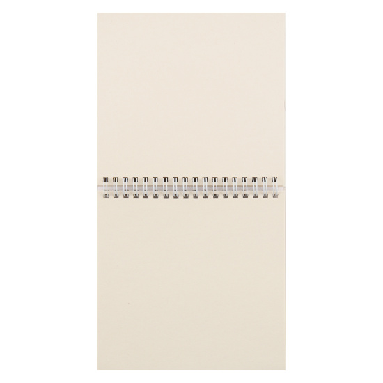 Блокнот для эскизов/скетчбук А5 (165*165 мм), 40 листов, 100 г/кв.м, на спирали Будни капибары Проф-Пресс 40-9976