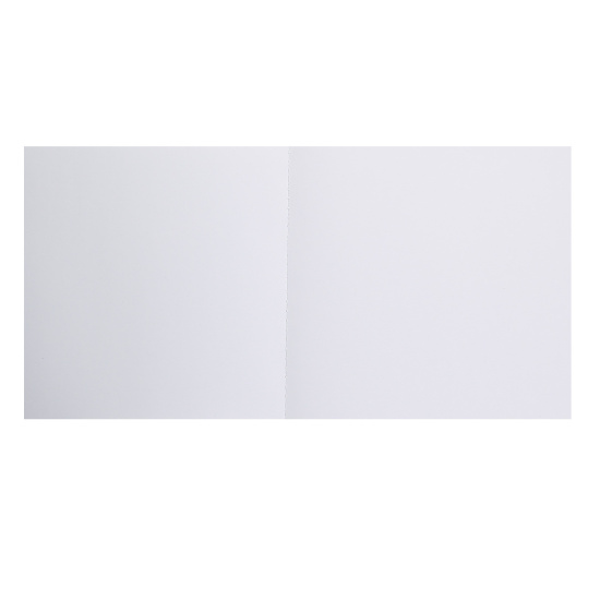 Блокнот для эскизов/скетчбук А5 (170*170 мм), 40 листов, 120 г/кв.м, склейка Фактура Феникс 65099
