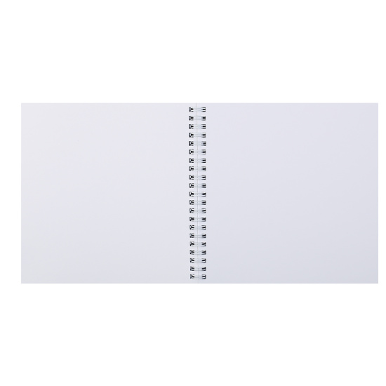 Блокнот для эскизов/скетчбук А5 (195*195 мм), 80 листов, 100 г/кв.м, перевертыш, на спирали Южный город Феникс 63073