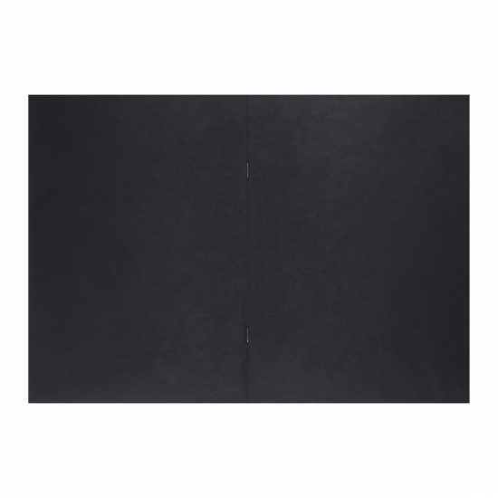 Блокнот для эскизов/скетчбук А4, 20 листов, 120 г/кв.м, на скобе black Полином 2823