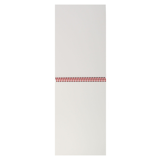 Блокнот для эскизов/скетчбук А4 (200*285 мм), 40 листов, 100 г/кв.м, на спирали Цветущая протея Проф-Пресс 40-6455