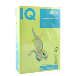 Бумага цветная IQ Color А4 160г/м 250л. 46 зел липа 00-00000551