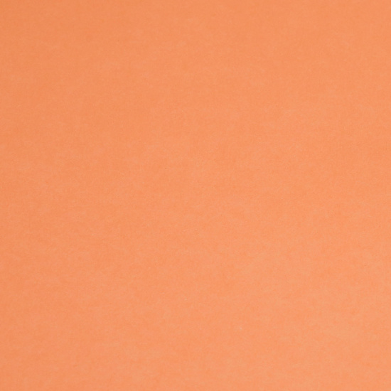 Ватман тонированный, А1 (600*840 мм), 200 г/кв.м, 100 листов, оранжевый Лилия Холдинг КЦ-7755